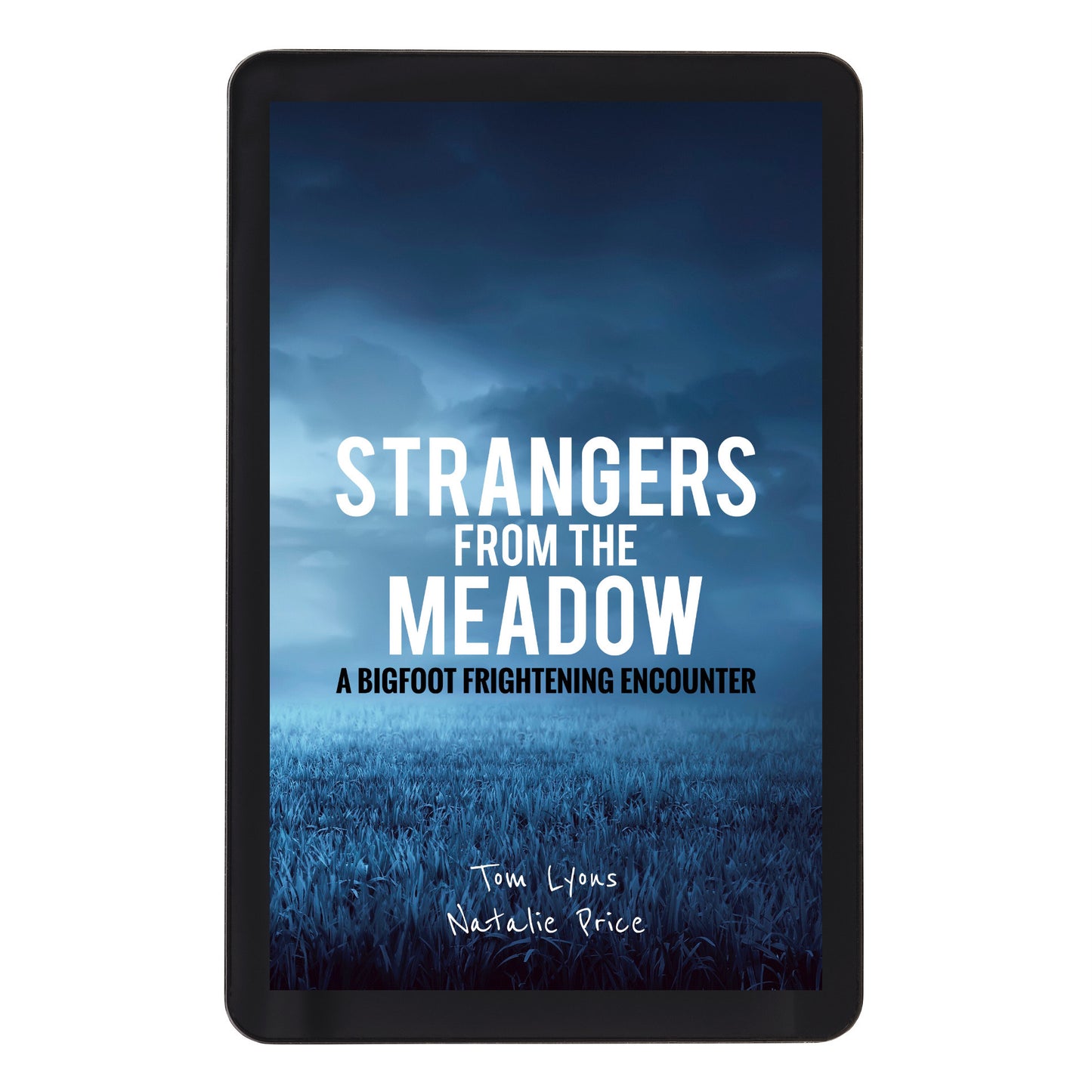 Strangers from the Meadow: A Bigfoot Frightening Encounter